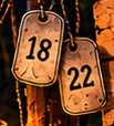 Dog tags stamped 18 and 22